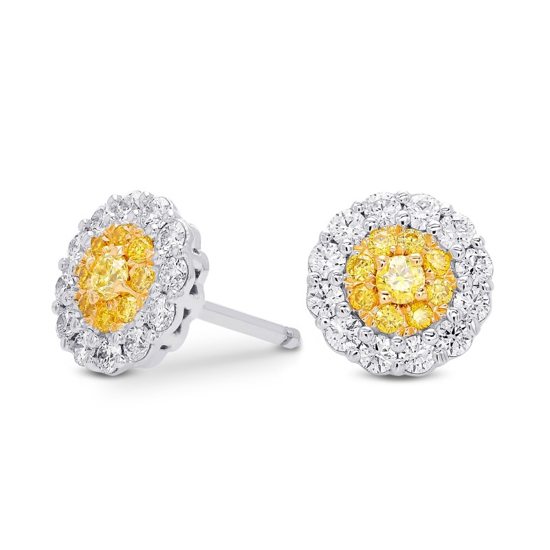 Fancy Intense Yellow Round Brilliant Double Halo Diamond Earrings, SKU