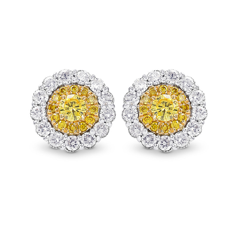 Round Brilliant Fancy Intense Yellow Diamond Halo Earrings, SKU 393802