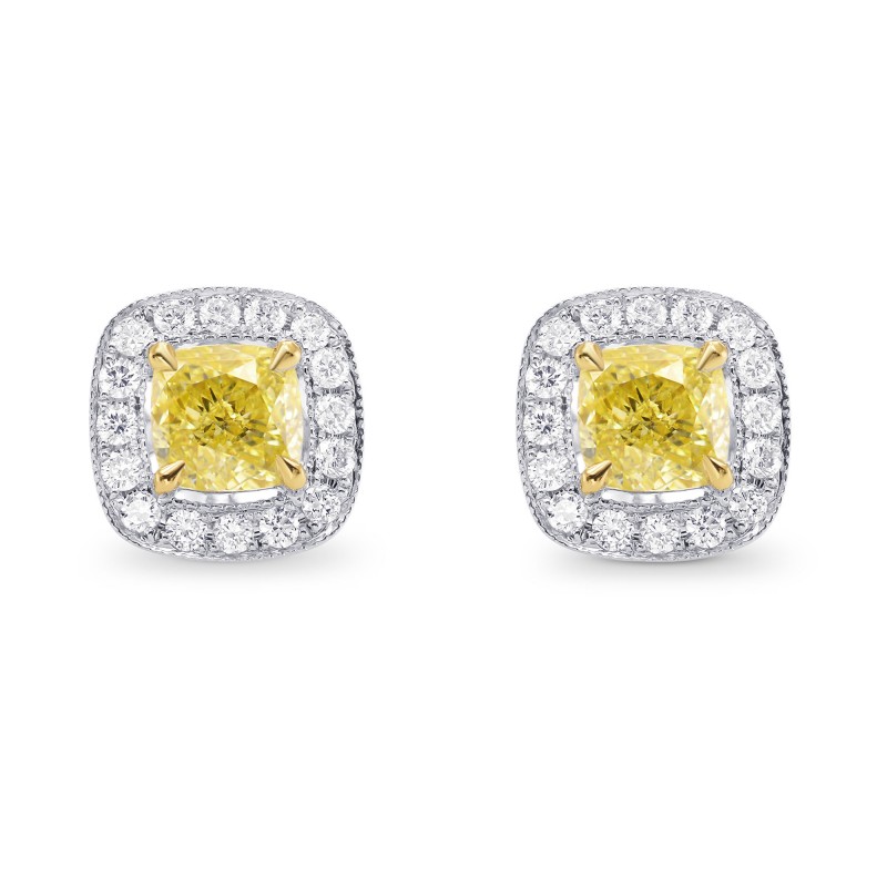 Fancy Intense Yellow Cushion Diamond Halo Earrings, ARTIKELNUMMER 92247 (1,63 Karat TW)