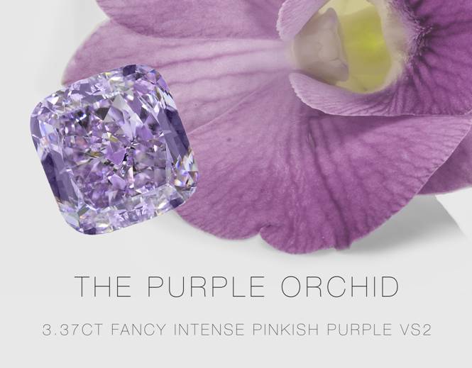 Leibish & Co. Purple Orchid